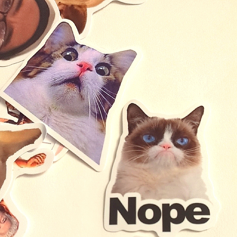 Set #3 Assorted Meme Sticker Pack - Picture 6 of 6